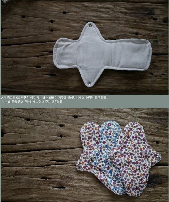 ⓒ 이효리 블로그 캡쳐