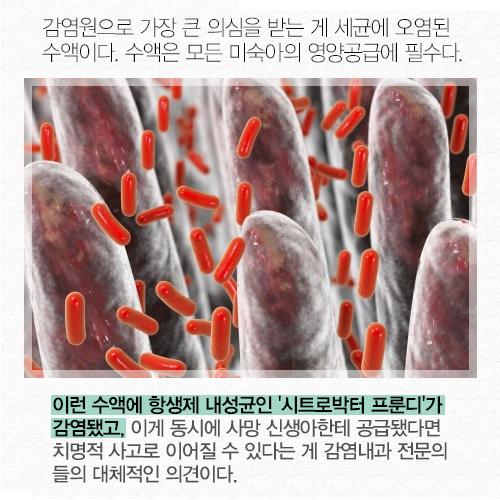 ⓒ데일리안 = 이보라 디자이너