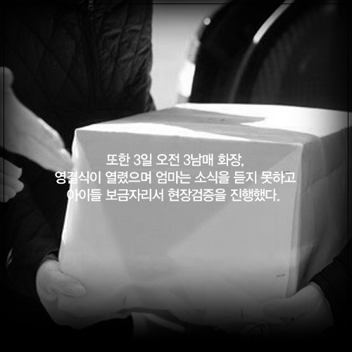 ⓒ데일리안 = 이보라 디자이너