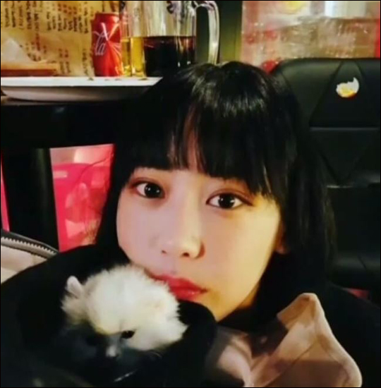 래퍼 육지담이