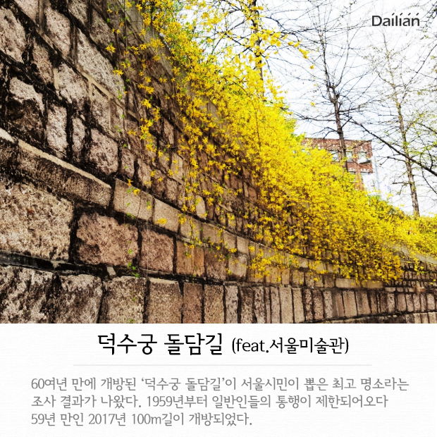 ⓒ데일리안 = 이보라 디자이너