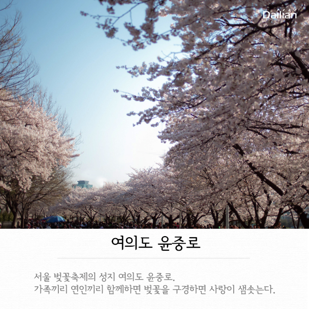 ⓒ데일리안 = 이보라 디자이너