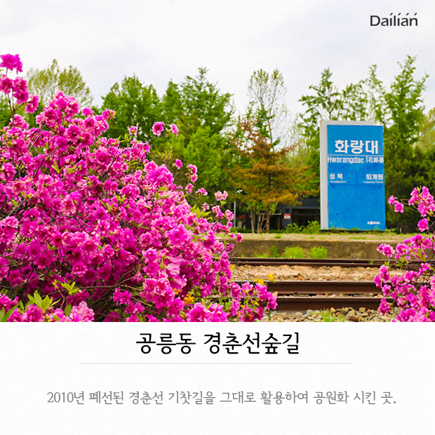 ⓒ데일리안 = 이보라 디자이너