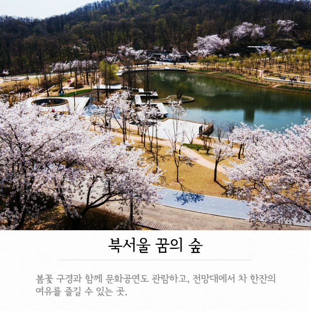 ⓒ데일리안 = 이보라 디자이너