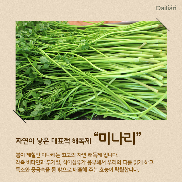 ⓒ데일리안 = 이보라 디자이너