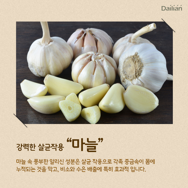 ⓒ데일리안 = 이보라 디자이너