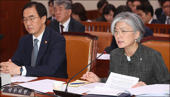 강경화 외교부장관이 17일 오후 열린 국회 외교통일위원회 전체회의에서 의원들의 질의에 답변하고 있다