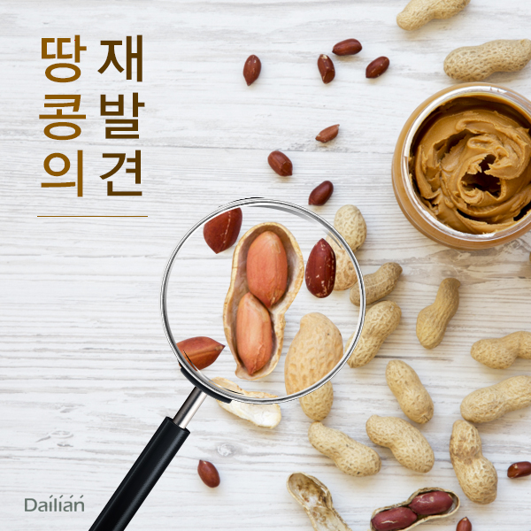 ⓒ데일리안 = 이보라 디자이너