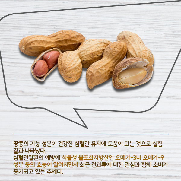 ⓒ데일리안 = 이보라 디자이너