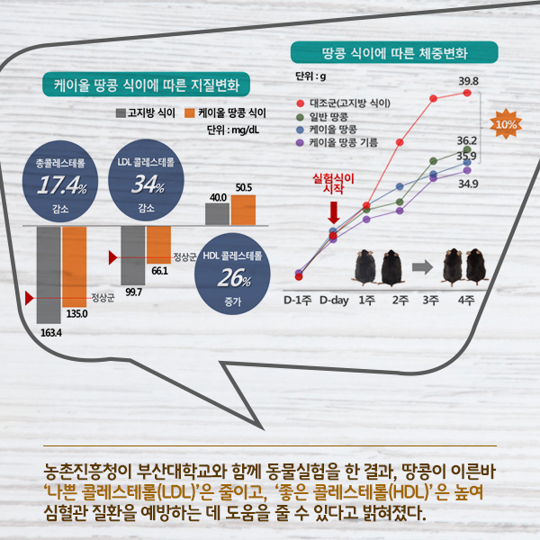 ⓒ데일리안 = 이보라 디자이너
