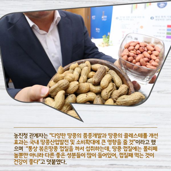 ⓒ데일리안 = 이보라 디자이너