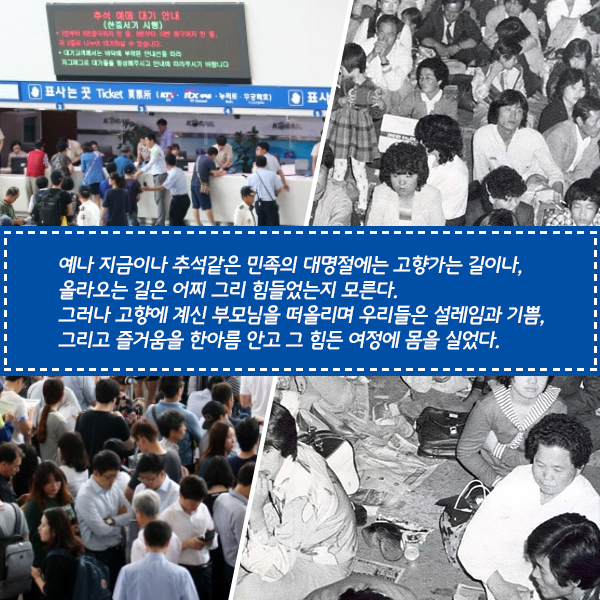 ⓒ데일리안 = 이보라 디자이너