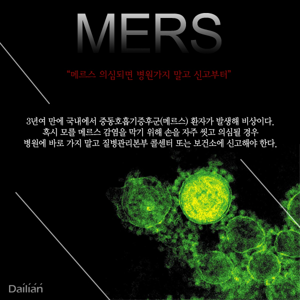 ⓒ데일리안 = 이보라 디자이너