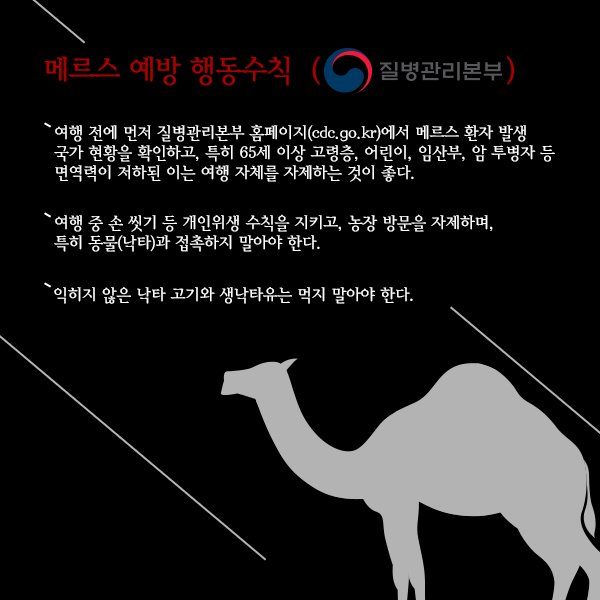 ⓒ데일리안 = 이보라 디자이너