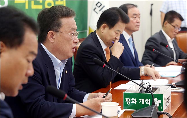 유성엽 민주평화당 수석최고위원이 지난달 28일 국회에서 열린 의원총회에서 모두발언을 하고 있다(자료사진). ⓒ데일리안 박항구 기자
