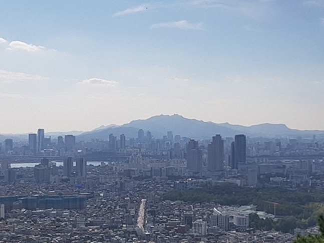 정부가 규제로 부동산 시장을 전방위로 압박하면서 직적적인 타격에서 벗어난 받지 않은 수익형 부동산 시장에도 여파가 나타나고 있다. 사진은 서울 일대 전경.(자료사진) ⓒ권이상 기자