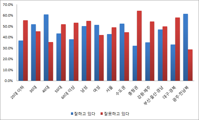 문재인 대통령의 경제운영에 관한 부정평가가 취업 취약계층인 20대와 60대 이상, 권역별로는 수도권과 호남을 제외한 전 권역에서 두드러지는 것으로 나타났다. ⓒ데일리안